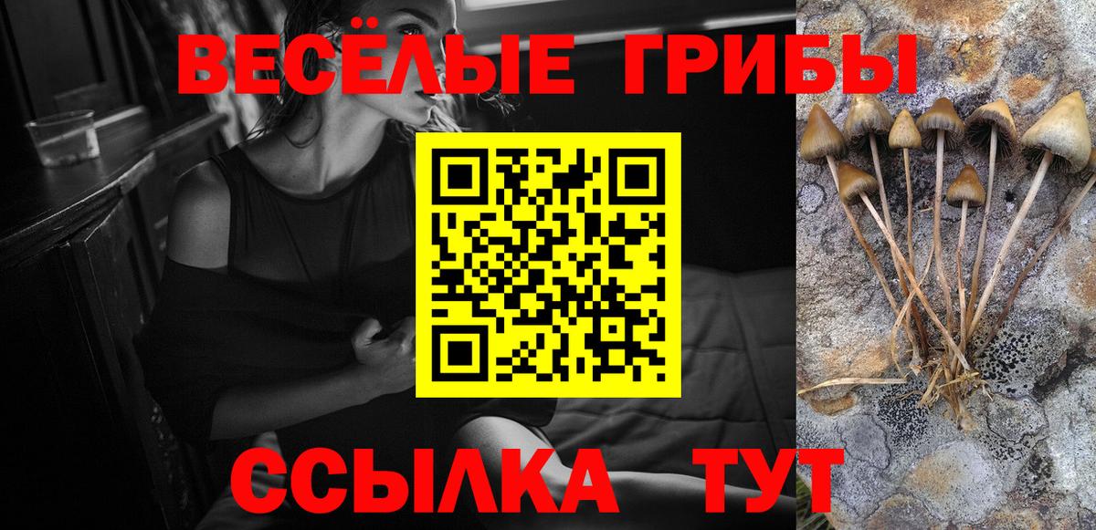 Севастополь  Псилоцибиновые грибы Psilocybe  Псилоцибиновые грибы Psilocybine cubensis  Вход с VPN 